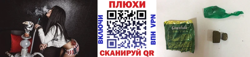 Купить  Судак  ГАШ гарик 