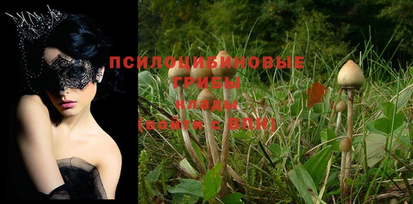 амф Россошь