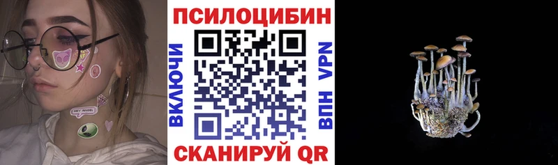 Купить где  Судак  Псилоцибиновые грибы ЛСД 